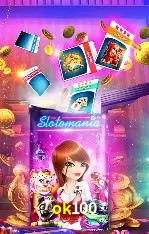 Login Seguro ok100